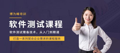 南京软件测试与开发培训指南 机构选择与行业展望